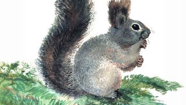 Экологическая викторина "Эти забавные животные"