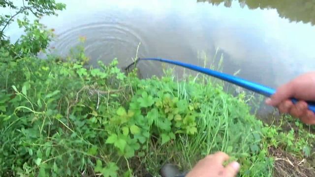 Рыбалка с Михалычем в Самарской Луке