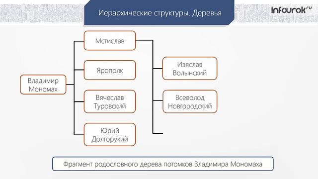Структуры данных деревья, сети, графы, таблицы | Информатика 10-11 класс #12 | Инфоурок