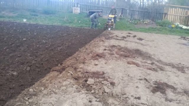 Весенняя вспашка плугом на мотоблоке (Целина 8.0 л.с. )