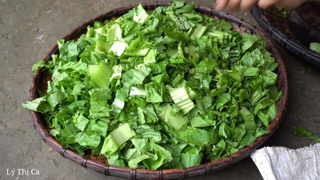 How to harvest vegetable garden, gardening, garden harvest - Ep.112 | ly thi ca