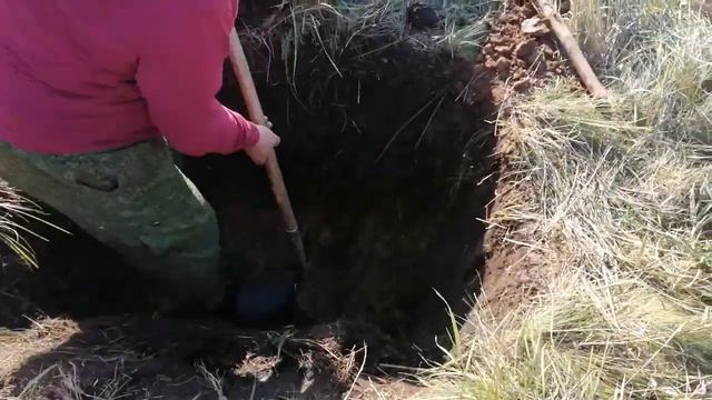 Охота на Барсука с Норными собаками. Badger Hunt.