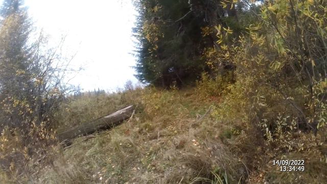 Осень 2022. Рыбалка на ленка
