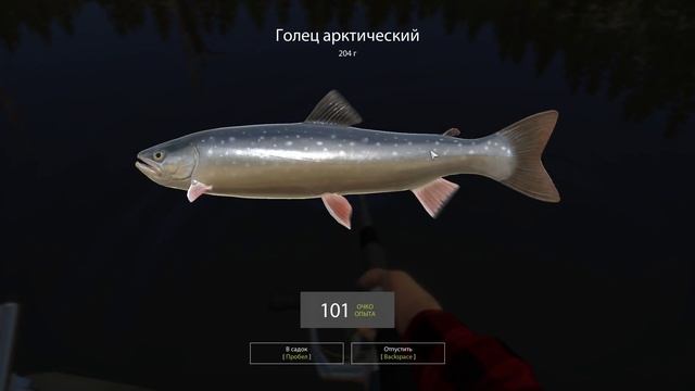 Русская рыбалка 4 - озеро Куори - Форель на крэнки