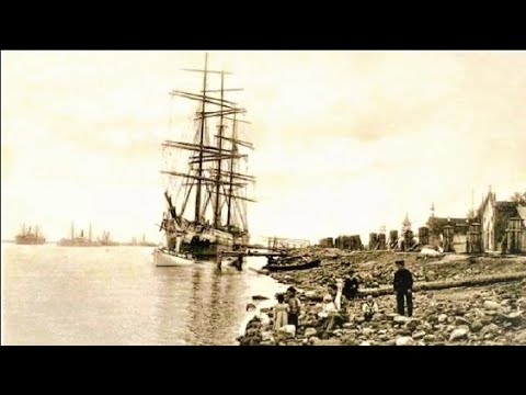 ▶️ Странное существо перевозили на пропавшем корабле