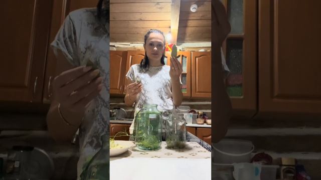 Как засолить грибы белянки на зиму