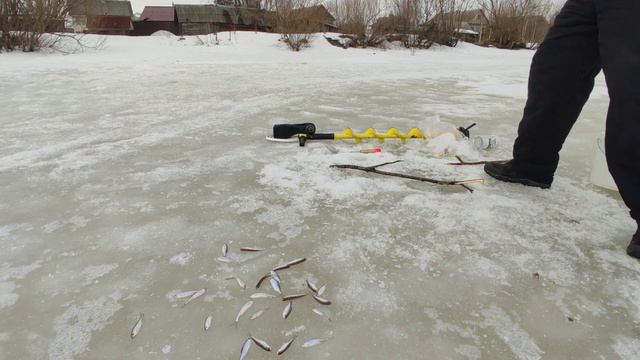Ловлю живца на зимний подъёмник.