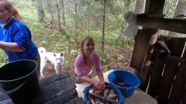Куда перед школой и детским садом В тайгу #2