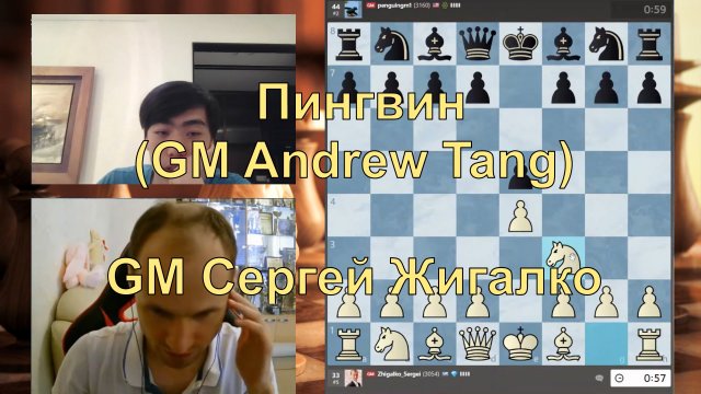ЖИГАЛКО – ПИНГВИН Andrew Tang ♕ В Антарктиду лети, птица! ♔ Партия в шахматы онлайн
