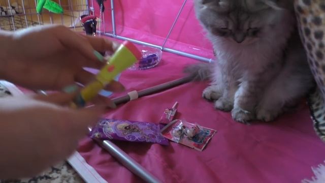 НЕУДАЧНОЕ ПЕРВОЕ СВИДАНИЕ СЛАДУНА! КИСА МИЛКА ВСЕ ИСПОРТИЛА!!!