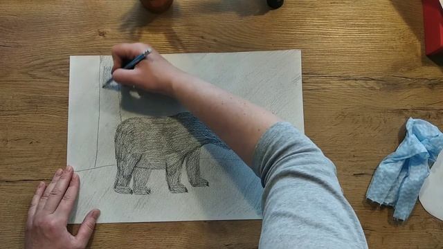 Видеоурок по рисованию "Рисование карандашом"