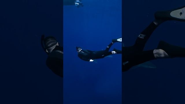 Путешествие в глубины моря