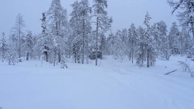 Вездеход Леший, Белоярский район ХМАО