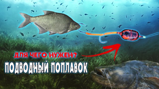 Подводный поплавок на сома. Зачем и когда он нужен