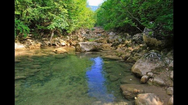 Сказка о Речке Голубоглазке (или Живи Коккозка).