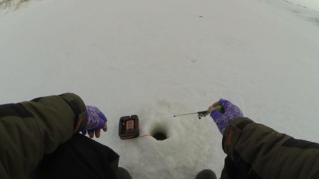 НА МОТОСОБАКЕ - К ЗАВЕТНОЙ РЕЧКЕ! Покатушки на мотобуксировщике и рыбалка на безмотылку