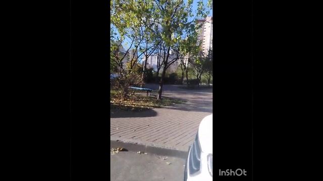 Как прекрасен этот мир, посмотри