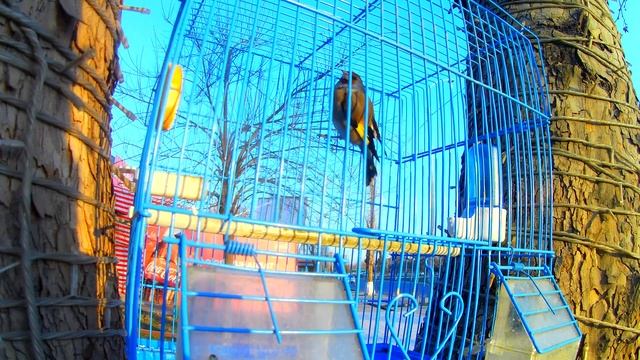 OSH CITY / УЗБЕКСКИЙ ПЛОВ. Как правильно приготовить настоящий узбекский плов. ПРОВЕРЕННЫЙ РЕЦЕПТ