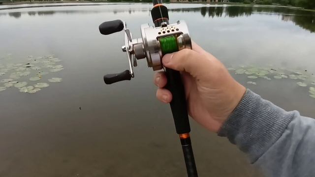 Shimano Calcutta 201 DC - старый друг лучше новых двух. Обзор