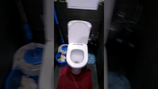 биде на унитаз (бидетка)