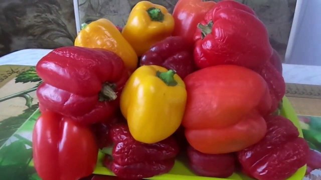 Быстрая заготовка на зиму  болгарского переца в свежем виде.  Сохраняются все вкусовые  качества.