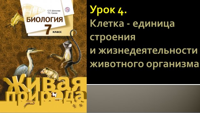Урок 4. Клетка - единица строения и жизнедеятельности животного организма