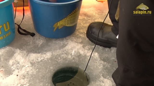 Зимняя рыбалка на озере Плещеево в глухозимье. Окунь. [salapinru]