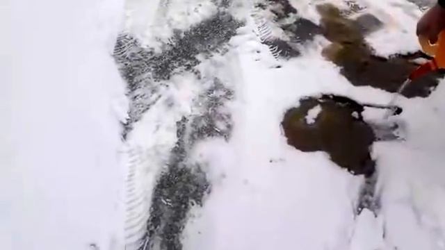 Как работает средство Антилед