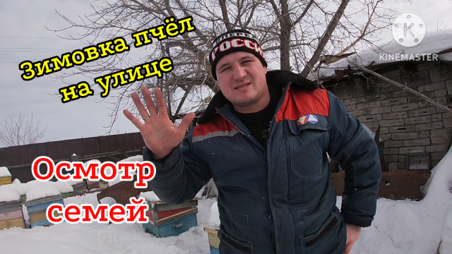 Зимовка пчёл на улице! Осмотр пчел в, феврале!