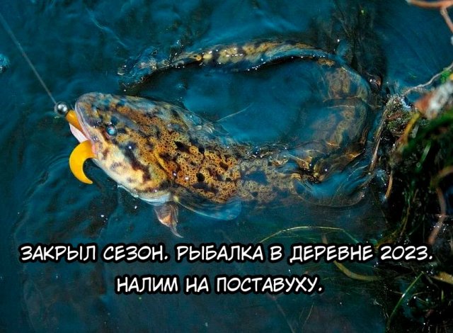 Закрыл сезон. Рыбалка в деревне 2023. НАЛИМ на поставуху.