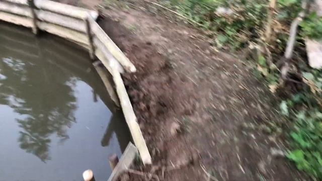 Рыбалка в своем пруду на дачном участке. Укрепляем берега и ловим рыбу в своем пруду. Fishing