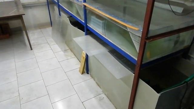 Обзор УЗВ для раков и самодельного аэратора