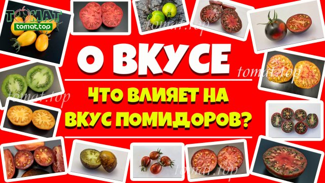 О вкусе помидоров. О восприятии вкуса и о том, что влияет на вкус помидоров