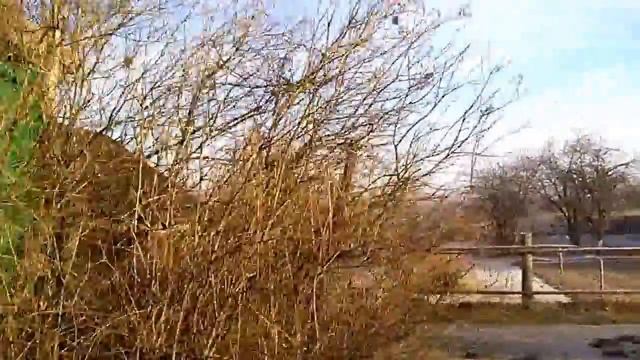 тверская область,калининский район