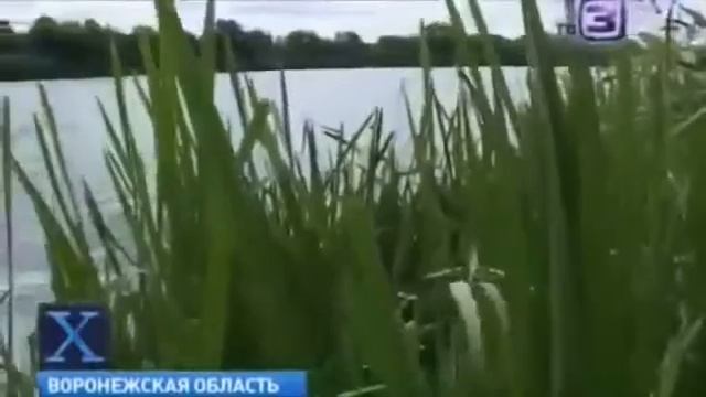 #VIDEO1 ЧУПАКАБРА на Дону Видео