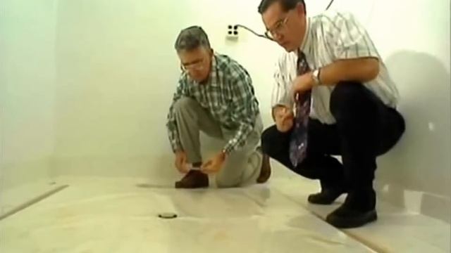 Можно ли уничтожить блох в квартире самому?