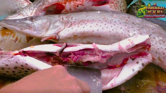 Три простых способа разделать щуку на филе, для жарки, котлеты или шашлык.