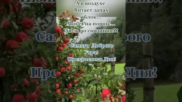 Август на пороге