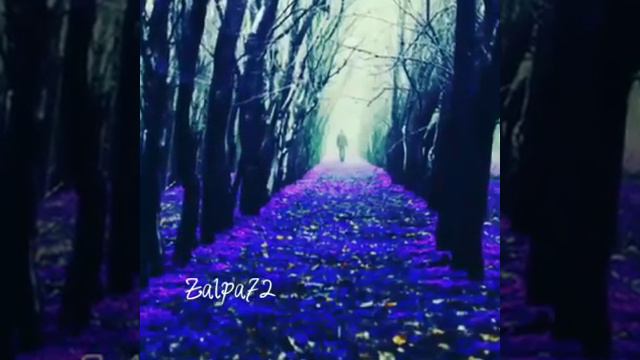 очень Красивая Песня дона дона❤👍