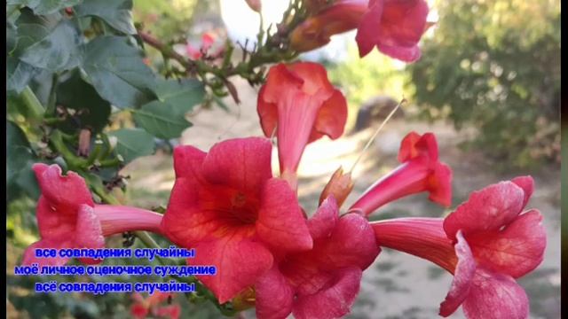 Серега всеядный Доход канала 7 000 000 руб Миллионер из Волгограда