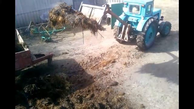 Т-40 АМ погрузка навоза самодельным погрузчиком