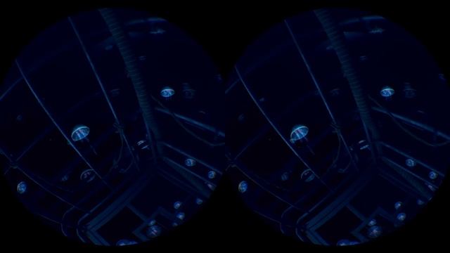 VR Worlds: Ocean Descent [PS VR] - VR SBS 3D Video