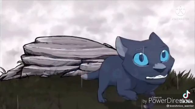 Коты-воители//тик ток//подборка