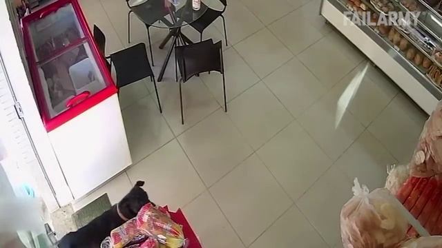 Веселые сбои видеонаблюдения 2022 года