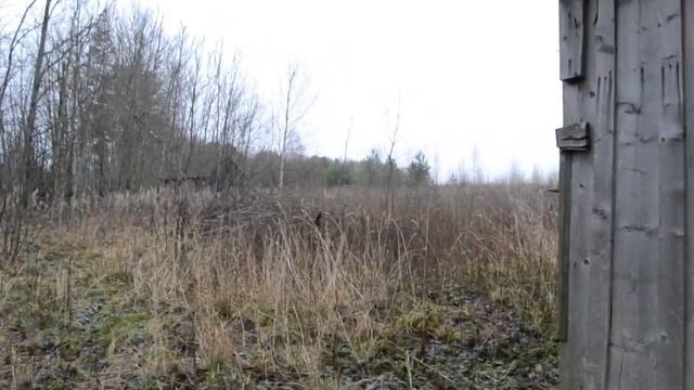 Наша жизнь в деревне в Тверской области