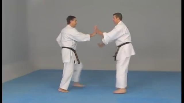 Каратэ стиля Уэчи-рю