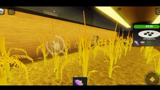 Мы играем с TyrboX