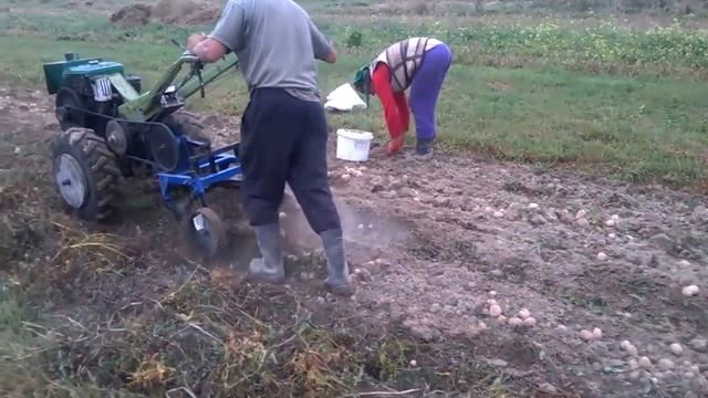 Картофелекопалка для мотоблока продожение 2