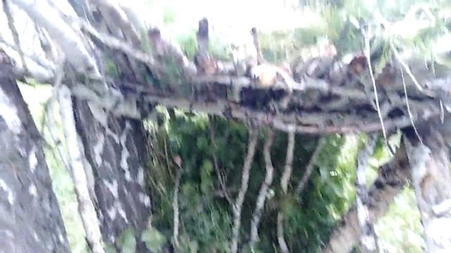 ПОТЕРЯЛИСЬ В ЛЕСУ! _ Фильм про выживание в лесу _ 1 Часть _