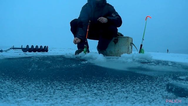 Зимняя, любительская рыбалка на Камском Устье